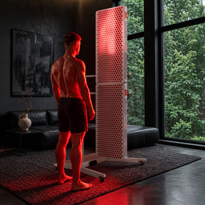 Offre groupée – 2 × Custom 600 et support électrique